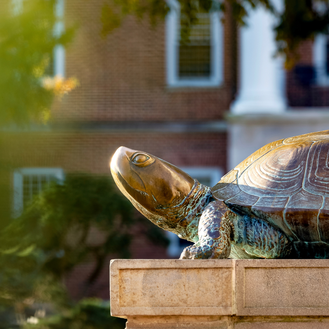 UMD Testudo Statue