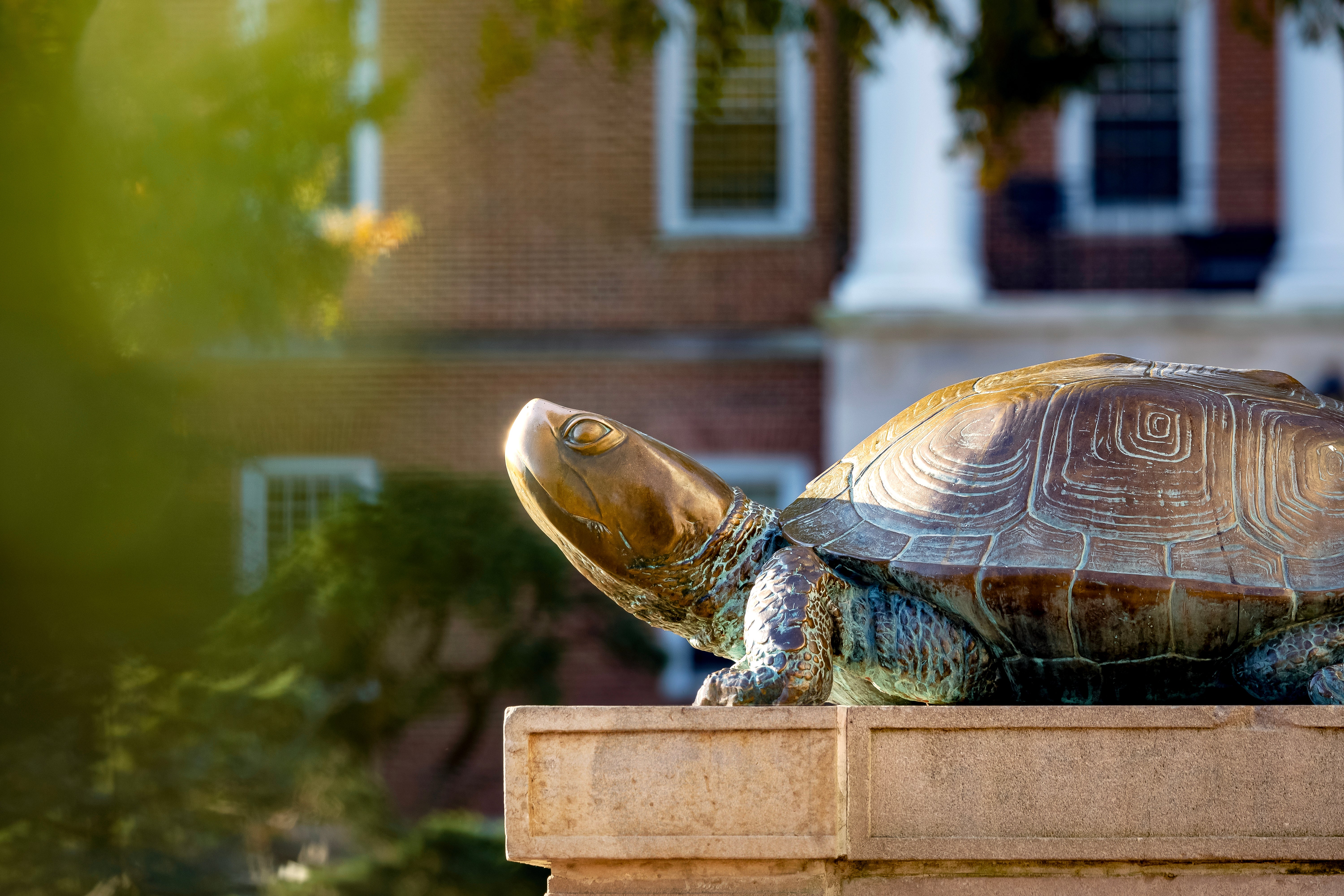 UMD Testudo Statue