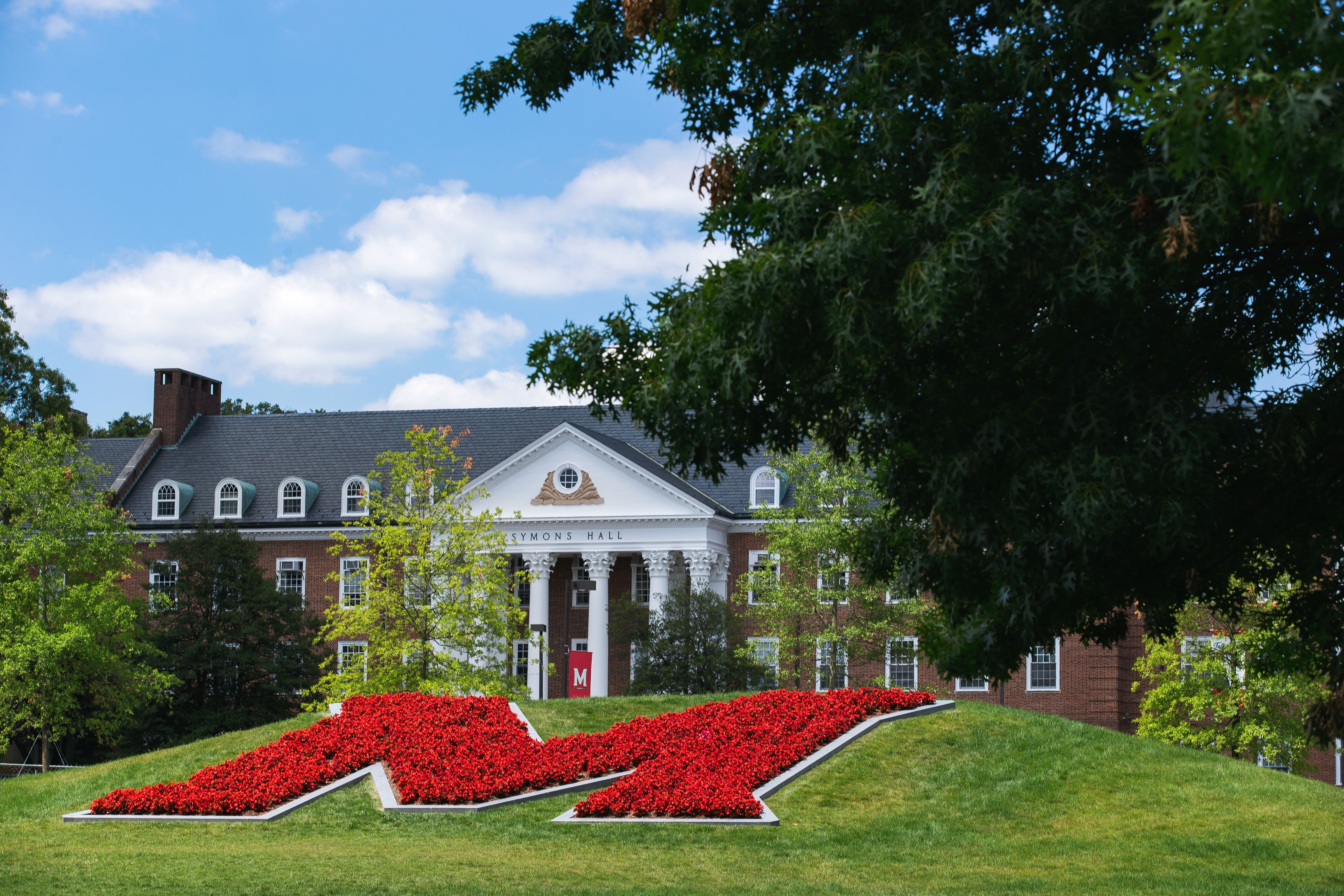 UMD M