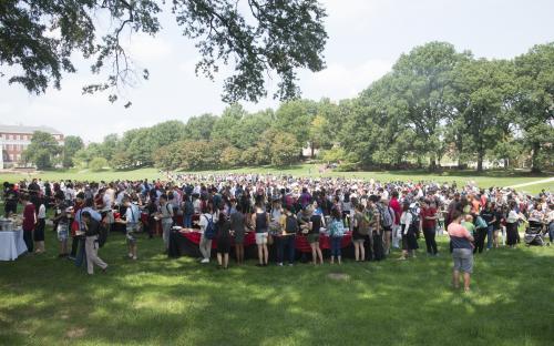 people on grass