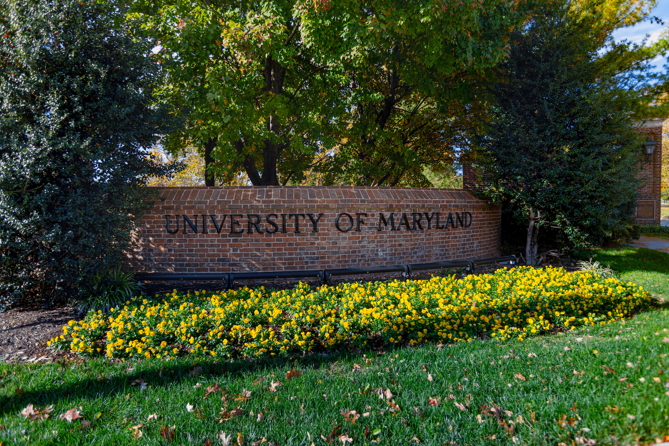 UMD Campus