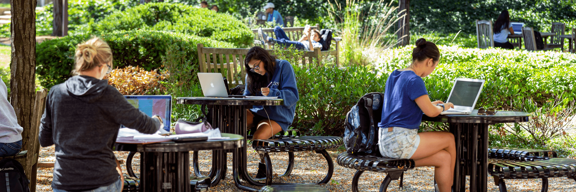 Students Studying Outdoors