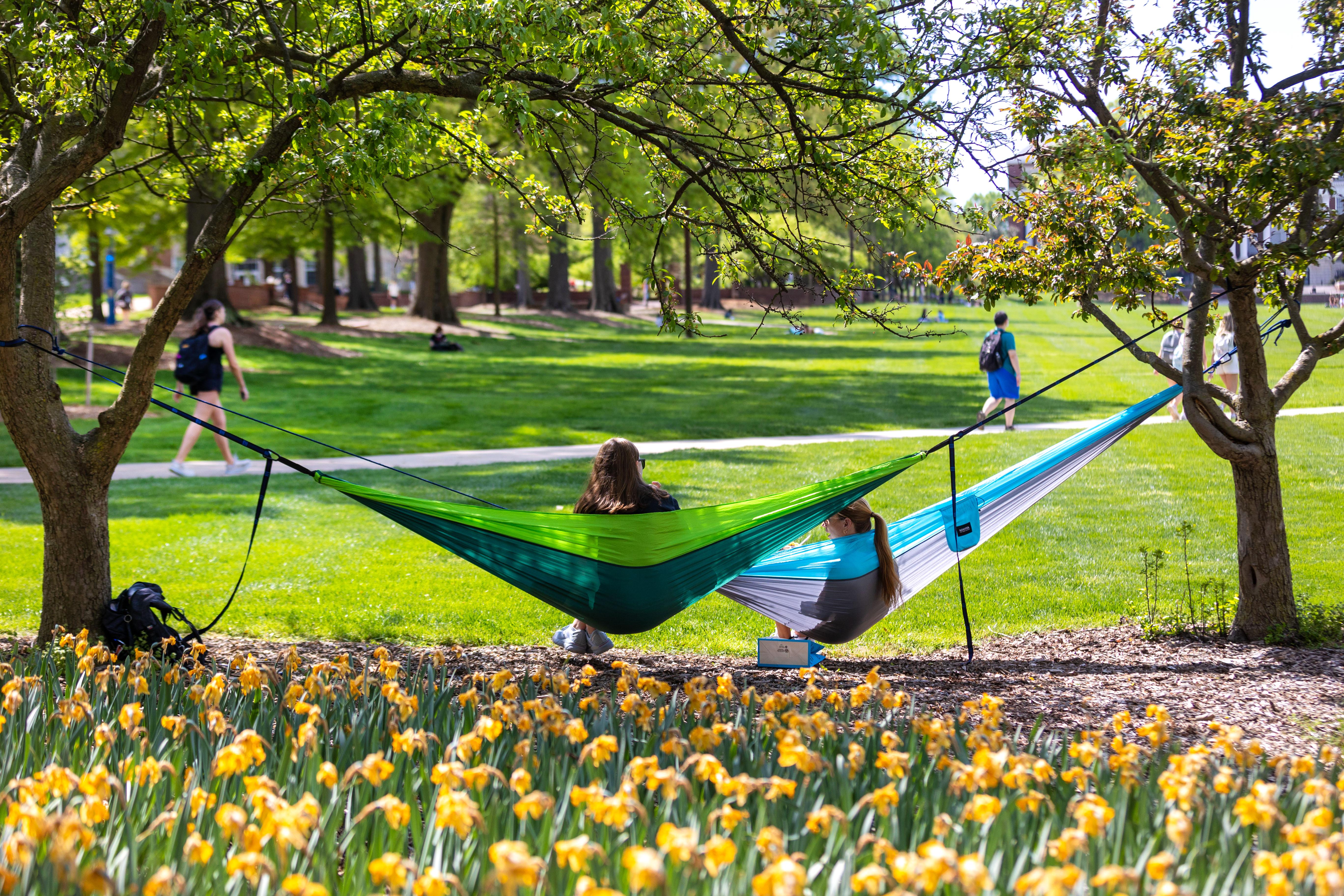 Students in hammocks on McKeldin mall