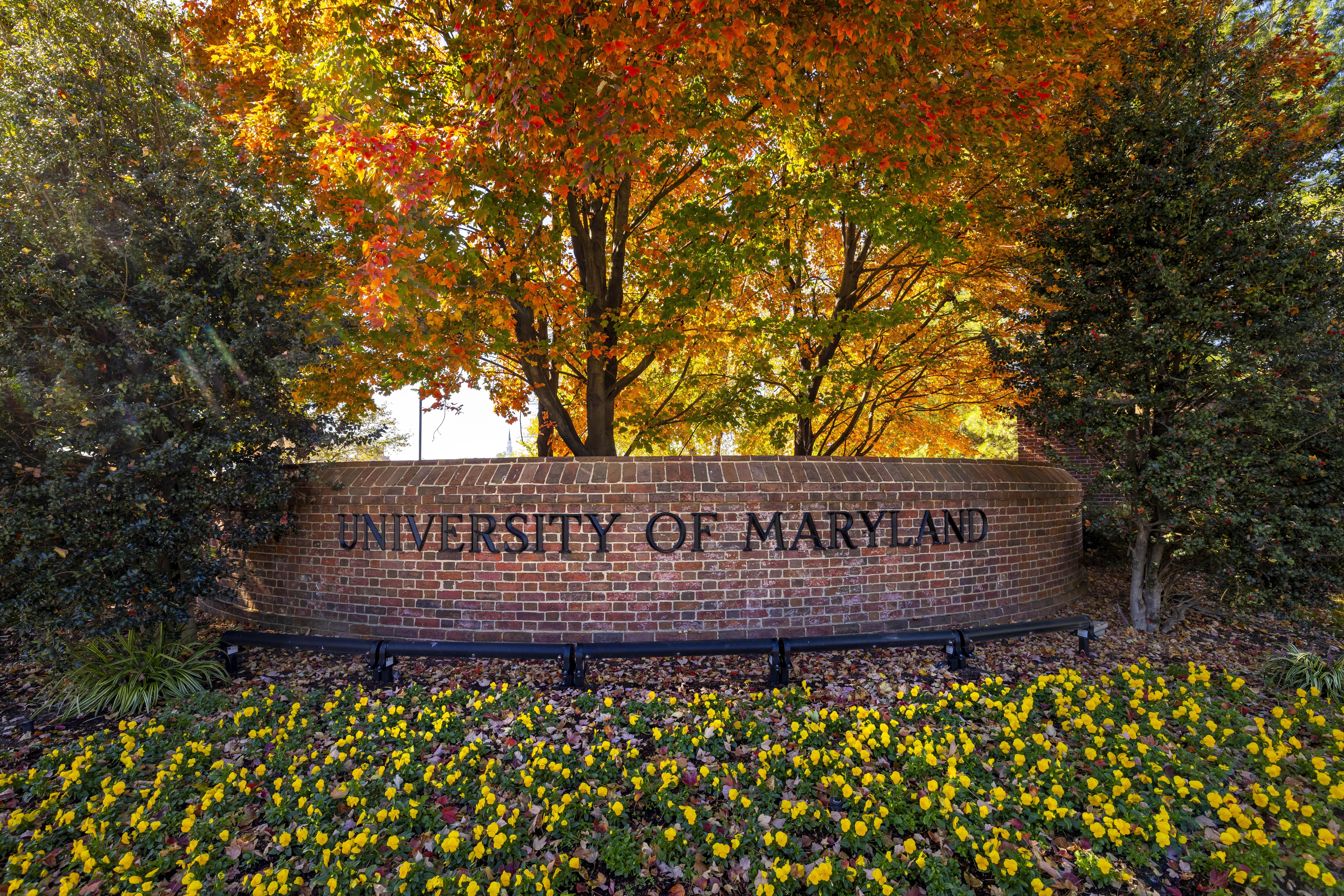 UMD sign with fall foliage