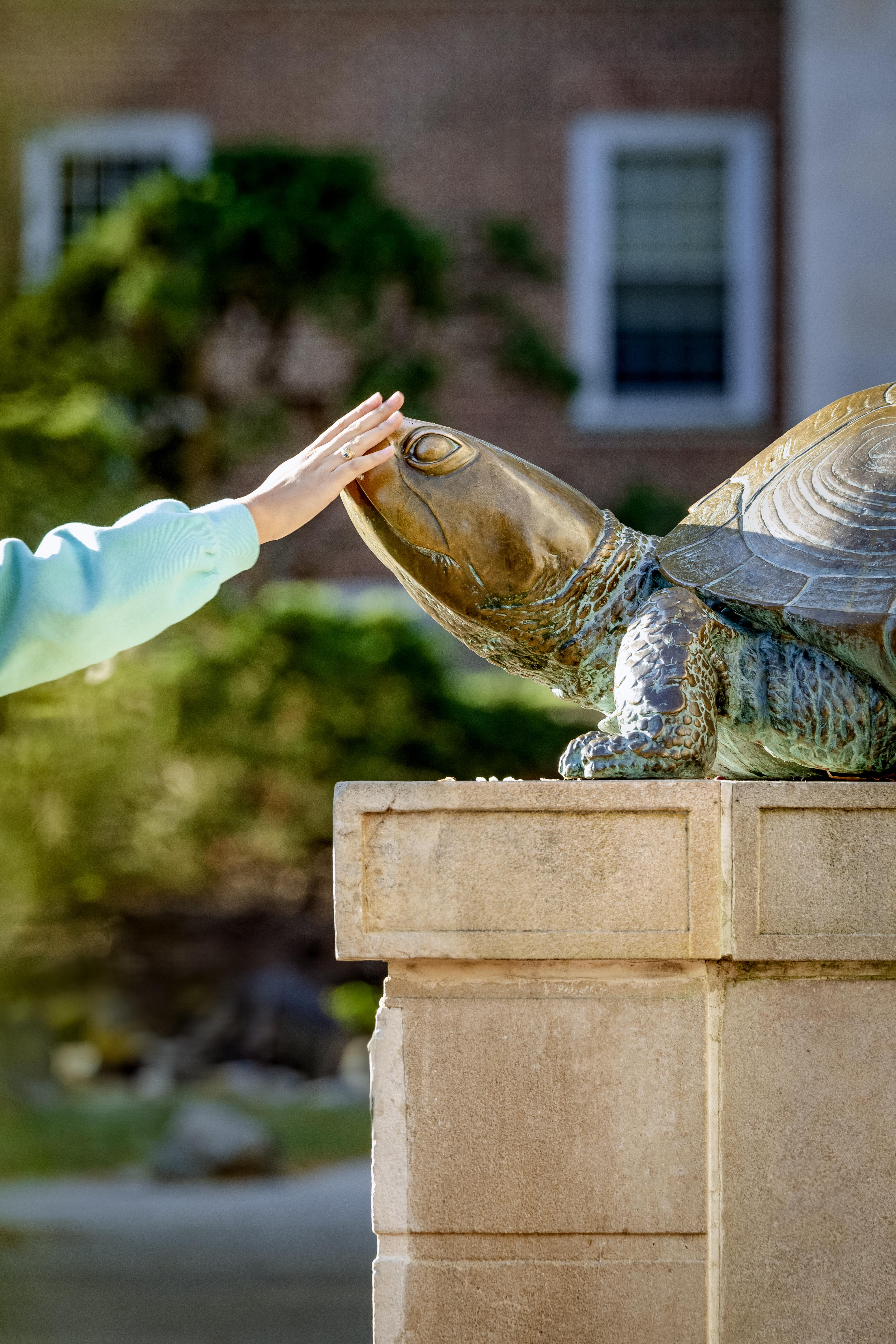 Student rubbing Testudo statue nose