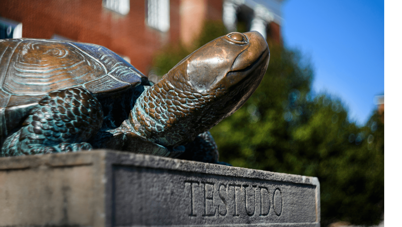 Testudo statue