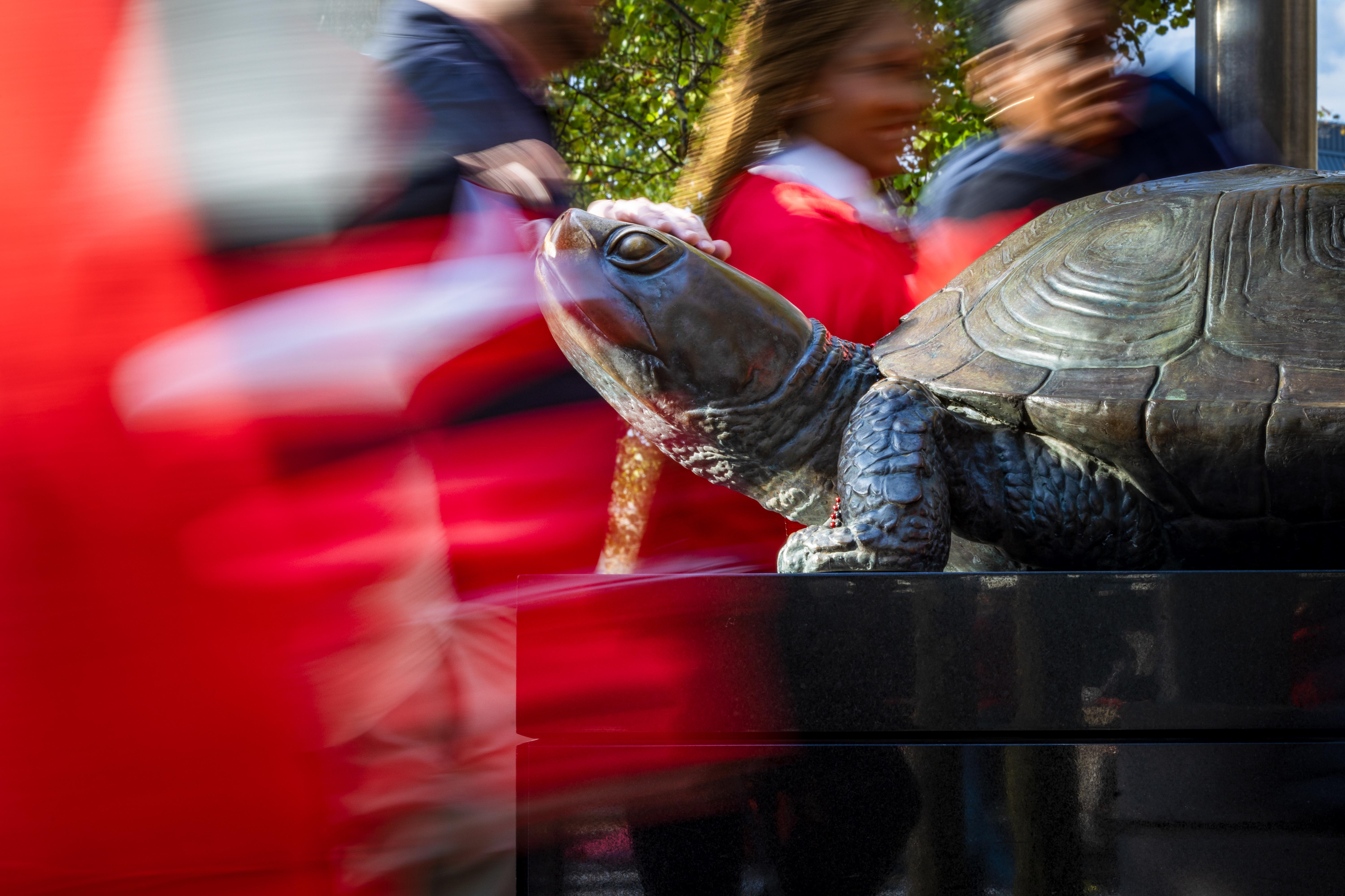 Testudo Statue