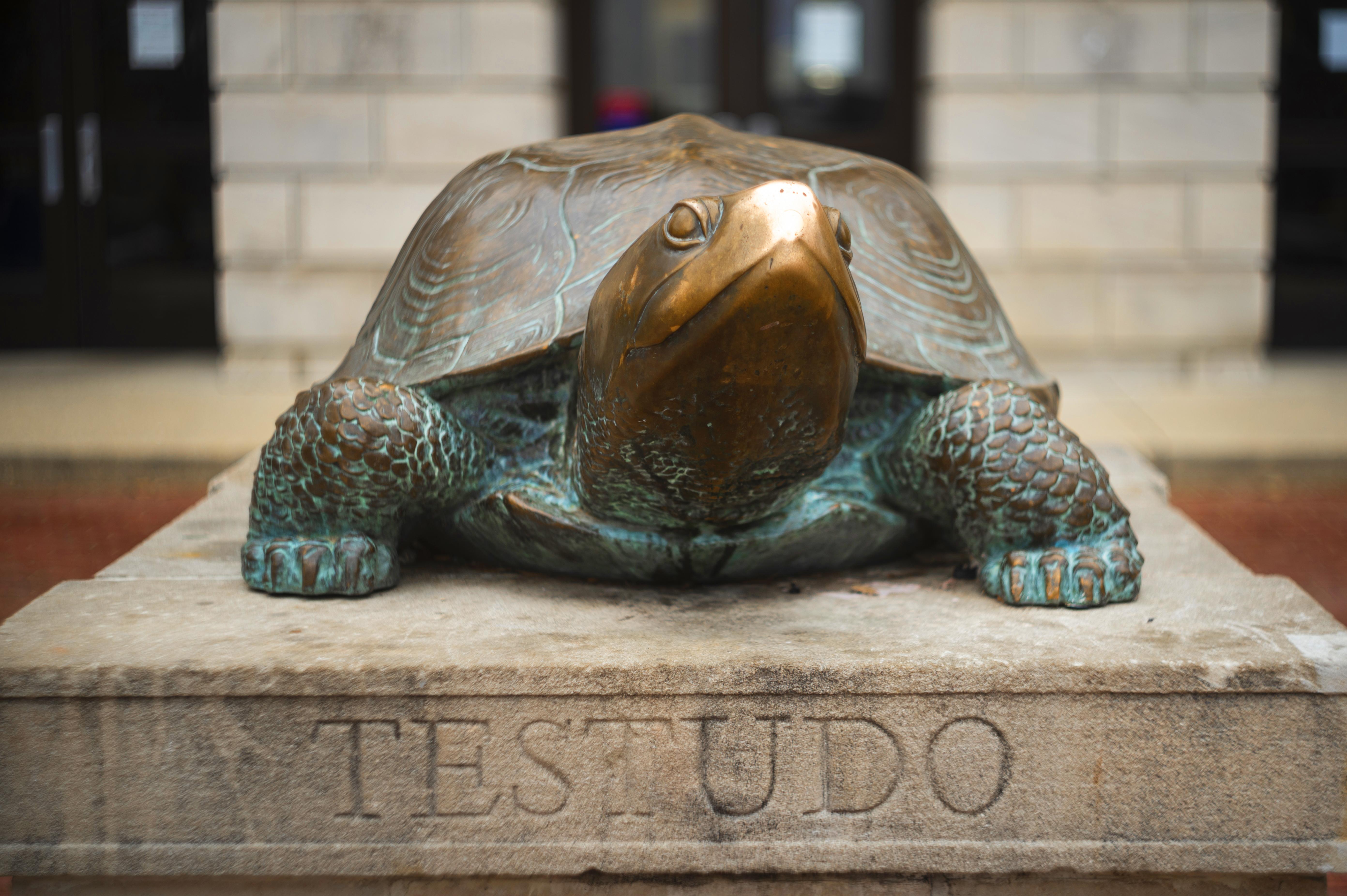 Testudo Statue
