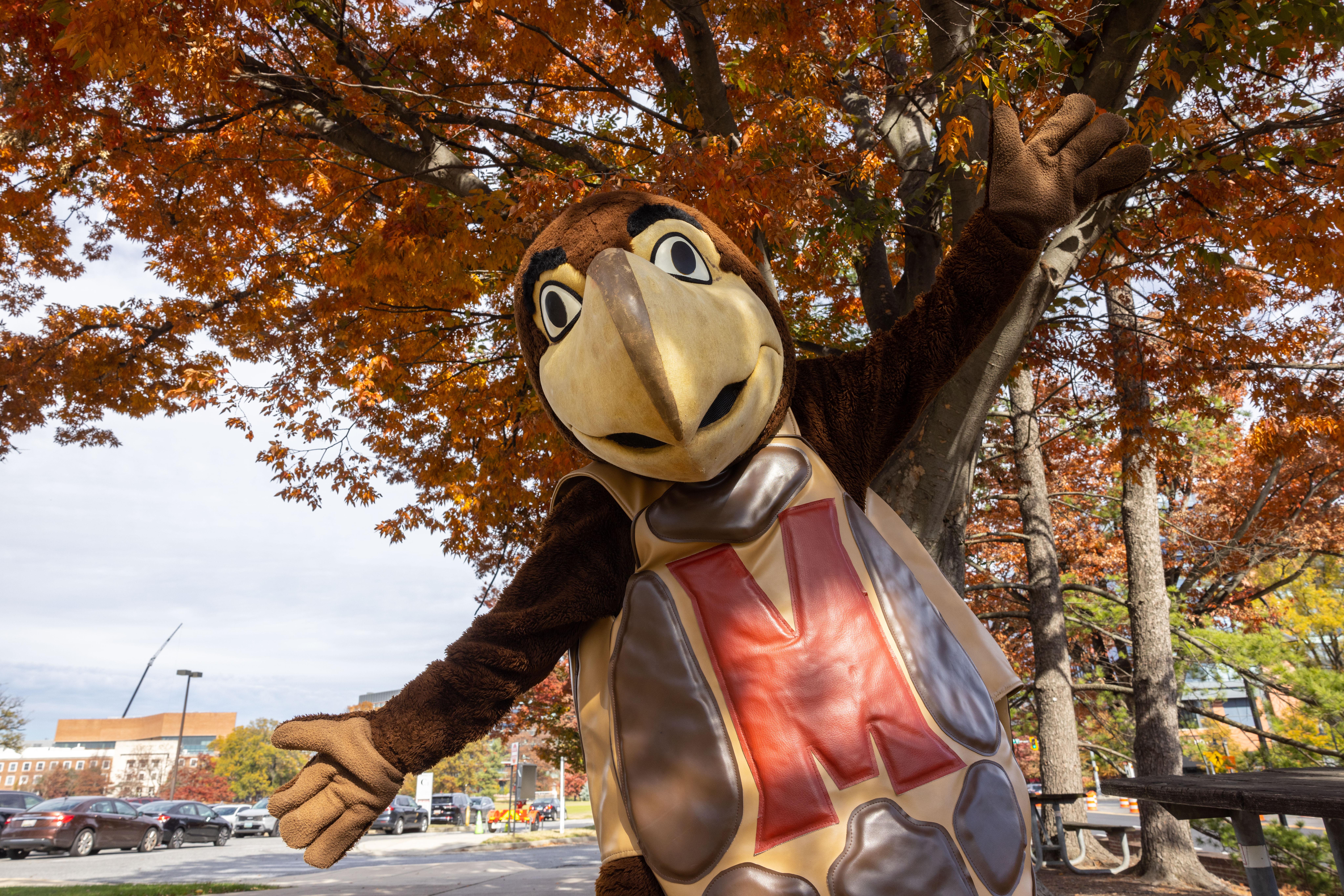 Testudo Mascot