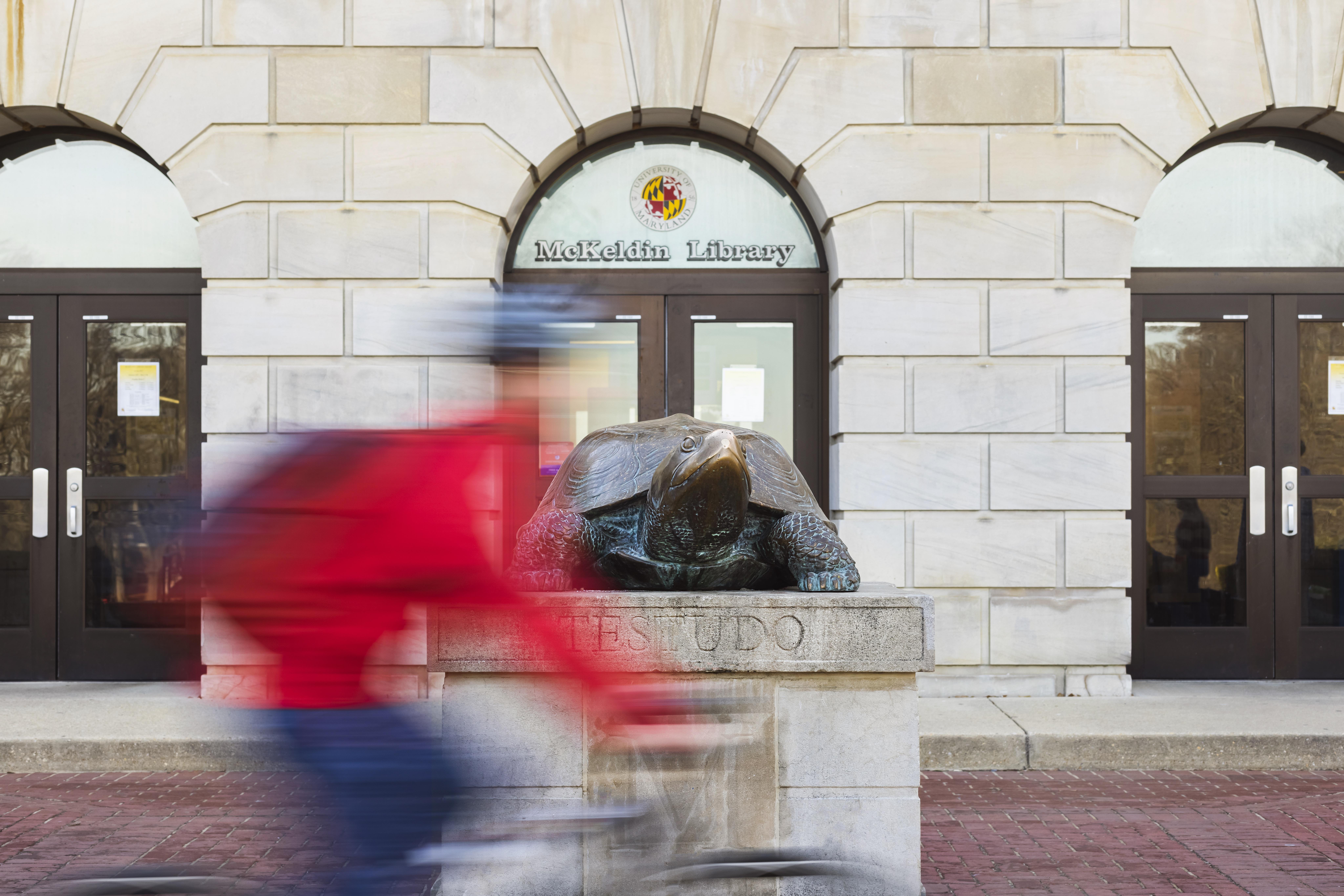 Testudo Statue