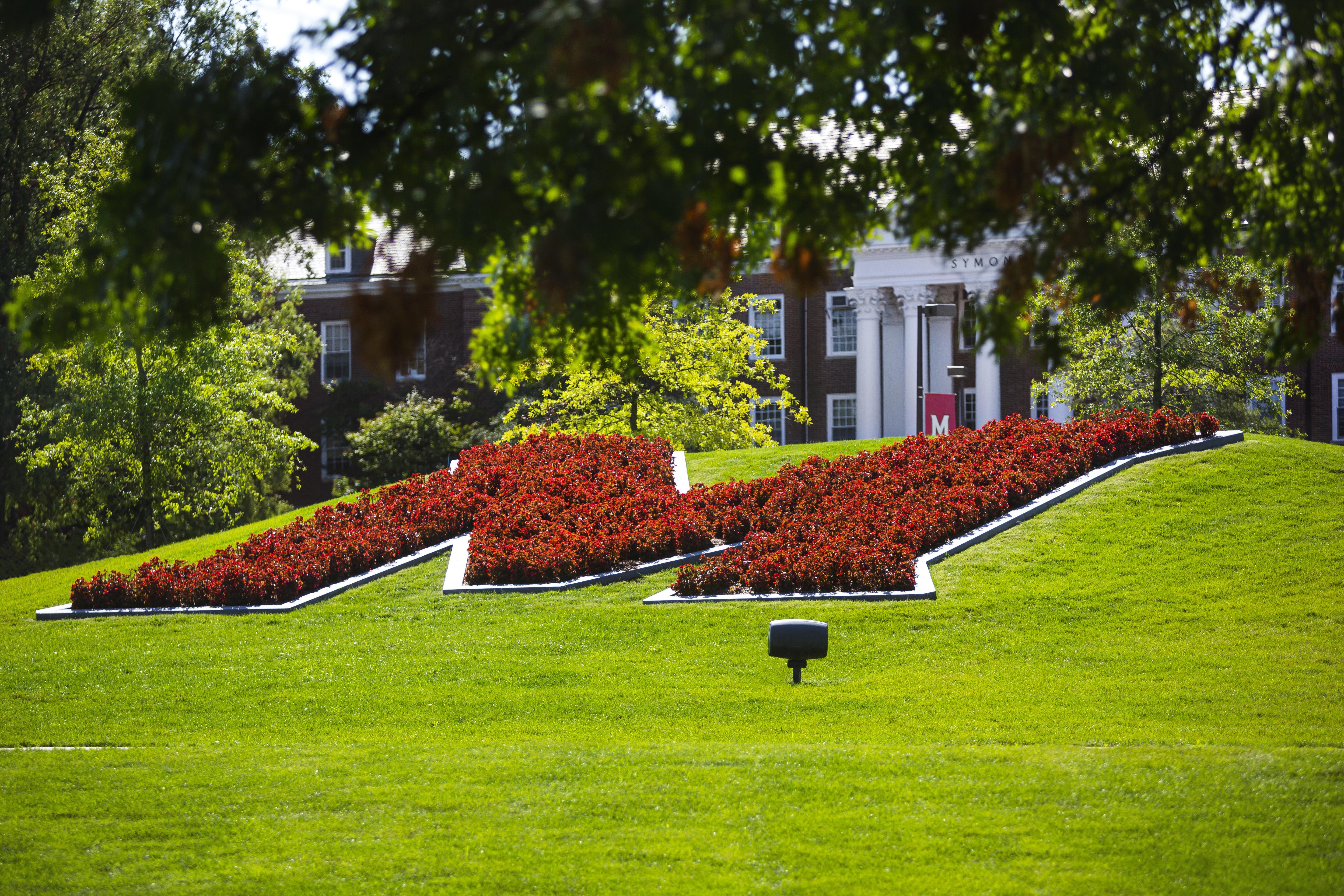 Maryland M Lawn